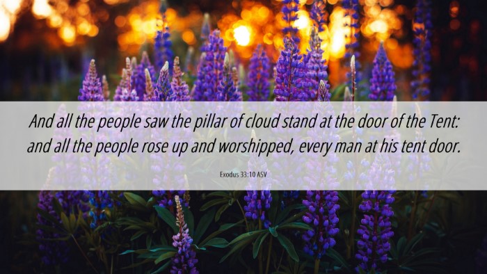 Picture 06 - Exodus 33:10 ASV Desktop Wallpaper - And all the people saw the pillar of cloud stand - Desktop Bible Verse Wallpaper