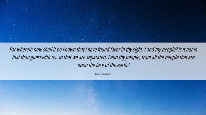 Picture 06 - Exodus 33:16 ASV Desktop Wallpaper - For wherein now shall it be known that I have - Desktop Bible Verse Wallpaper
