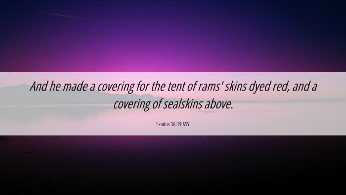 Picture 06 - Exodus 36:19 ASV Desktop Wallpaper - And he made a covering for the tent of rams' - Desktop Bible Verse Wallpaper