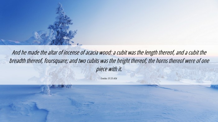 Picture 06 - Exodus 37:25 ASV Desktop Wallpaper - And he made the altar of incense of acacia wood: - Desktop Bible Verse Wallpaper