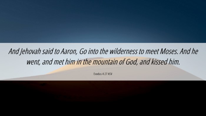 Picture 06 - Exodus 4:27 ASV Desktop Wallpaper - And Jehovah said to Aaron, Go into the wilderness - Desktop Bible Verse Wallpaper
