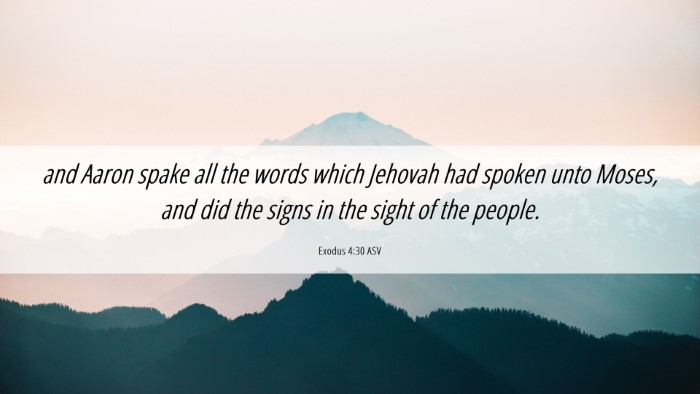 Picture 06 - Exodus 4:30 ASV Desktop Wallpaper - and Aaron spake all the words which Jehovah had - Desktop Bible Verse Wallpaper