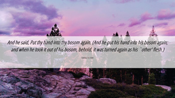 Picture 06 - Exodus 4:7 ASV Desktop Wallpaper - And he said, Put thy hand into thy bosom again. - Desktop Bible Verse Wallpaper