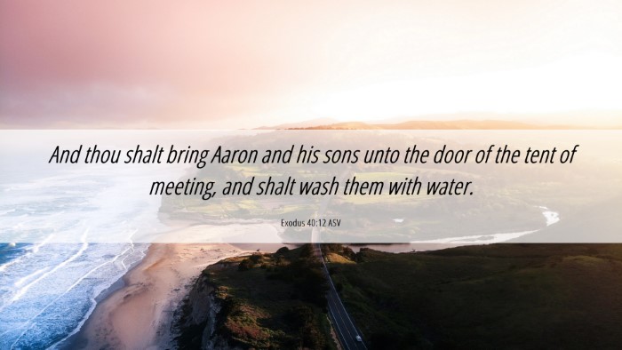 Picture 06 - Exodus 40:12 ASV Desktop Wallpaper - And thou shalt bring Aaron and his sons unto the - Desktop Bible Verse Wallpaper
