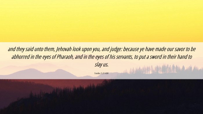 Picture 06 - Exodus 5:21 ASV Desktop Wallpaper - and they said unto them, Jehovah look upon you, - Desktop Bible Verse Wallpaper