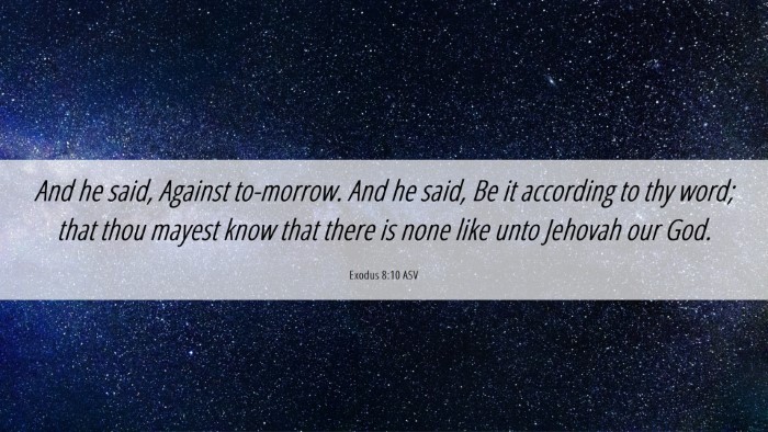 Picture 06 - Exodus 8:10 ASV Desktop Wallpaper - And he said, Against to-morrow. And he said, Be - Desktop Bible Verse Wallpaper