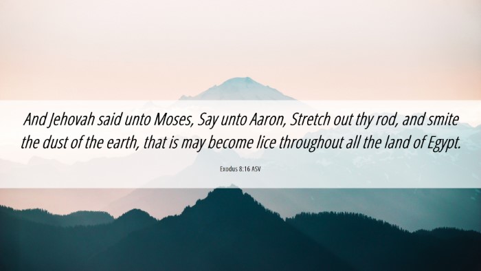 Picture 06 - Exodus 8:16 ASV Desktop Wallpaper - And Jehovah said unto Moses, Say unto Aaron, - Desktop Bible Verse Wallpaper