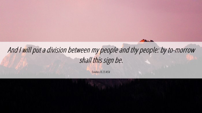 Picture 06 - Exodus 8:23 ASV Desktop Wallpaper - And I will put a division between my people and - Desktop Bible Verse Wallpaper