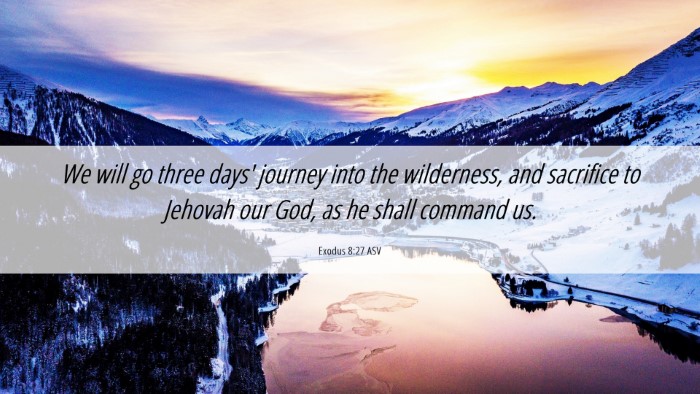 Picture 06 - Exodus 8:27 ASV Desktop Wallpaper - We will go three days' journey into the - Desktop Bible Verse Wallpaper