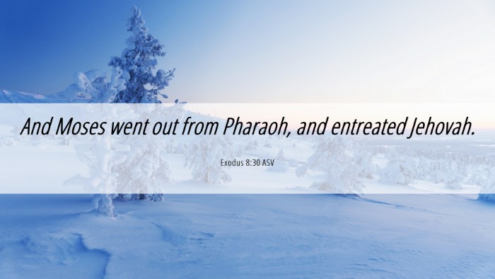 Picture 06 - Exodus 8:30 ASV Desktop Wallpaper - And Moses went out from Pharaoh, and entreated - Desktop Bible Verse Wallpaper