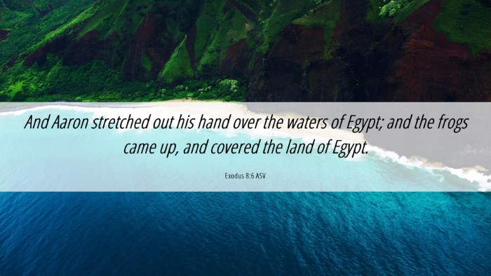 Picture 06 - Exodus 8:6 ASV Desktop Wallpaper - And Aaron stretched out his hand over the waters - Desktop Bible Verse Wallpaper