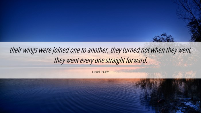 Picture 06 - Ezekiel 1:9 ASV Desktop Wallpaper - their wings were joined one to another; they - Desktop Bible Verse Wallpaper