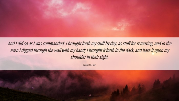 Picture 06 - Ezekiel 12:7 ASV Desktop Wallpaper - And I did so as I was commanded: I brought forth - Desktop Bible Verse Wallpaper
