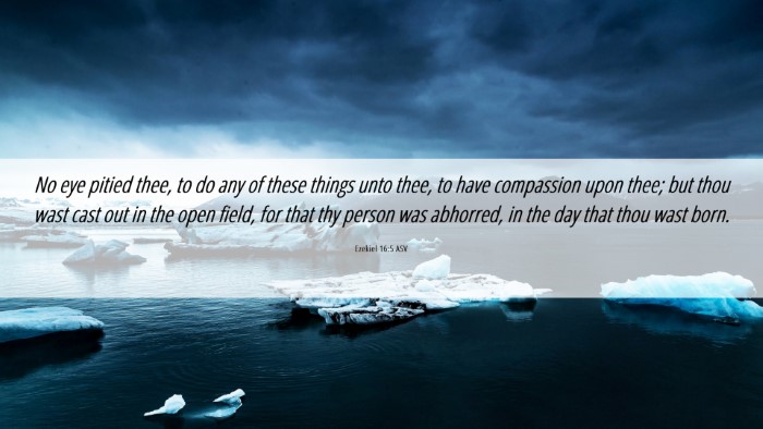 Picture 06 - Ezekiel 16:5 ASV Desktop Wallpaper - No eye pitied thee, to do any of these things - Desktop Bible Verse Wallpaper