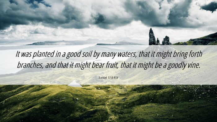 Picture 06 - Ezekiel 17:8 ASV Desktop Wallpaper - It was planted in a good soil by many waters, - Desktop Bible Verse Wallpaper
