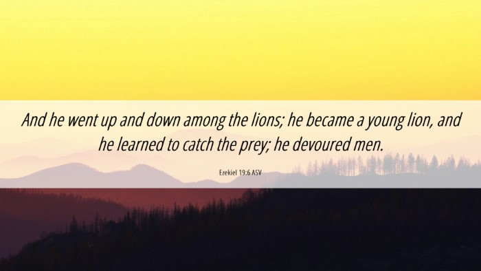 Picture 06 - Ezekiel 19:6 ASV Desktop Wallpaper - And he went up and down among the lions; he - Desktop Bible Verse Wallpaper