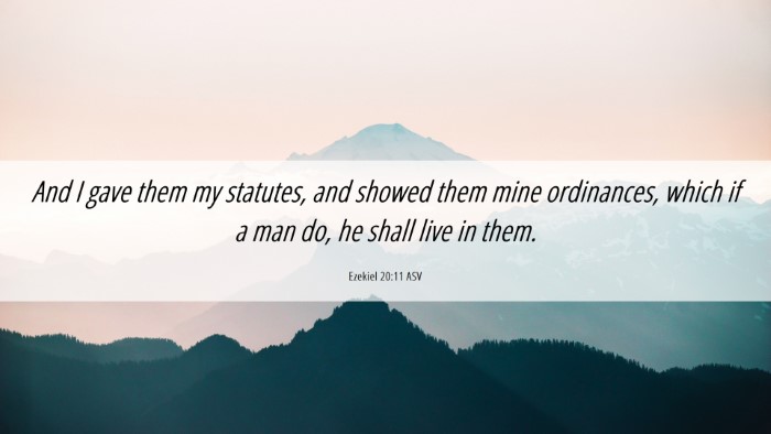 Picture 06 - Ezekiel 20:11 ASV Desktop Wallpaper - And I gave them my statutes, and showed them mine - Desktop Bible Verse Wallpaper