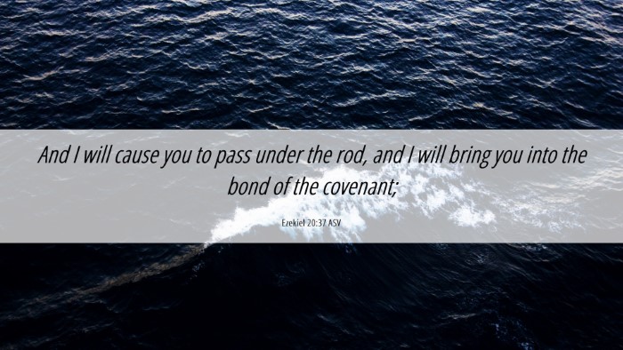 Picture 06 - Ezekiel 20:37 ASV Desktop Wallpaper - And I will cause you to pass under the rod, and I - Desktop Bible Verse Wallpaper