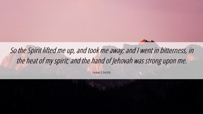 Picture 06 - Ezekiel 3:14 ASV Desktop Wallpaper - So the Spirit lifted me up, and took me away; and - Desktop Bible Verse Wallpaper