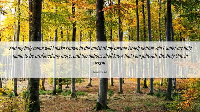 Picture 06 - Ezekiel 39:7 ASV Desktop Wallpaper - And my holy name will I make known in the midst - Desktop Bible Verse Wallpaper