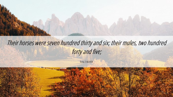 Picture 06 - Ezra 2:66 ASV Desktop Wallpaper - Their horses were seven hundred thirty and six; - Desktop Bible Verse Wallpaper