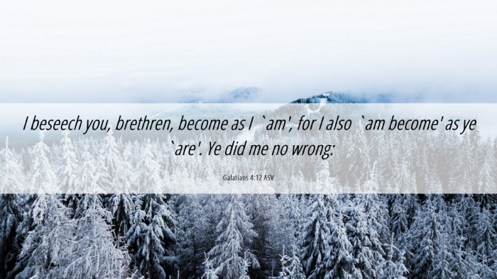 Picture 06 - Galatians 4:12 ASV Desktop Wallpaper - I beseech you, brethren, become as I `am', for I - Desktop Bible Verse Wallpaper