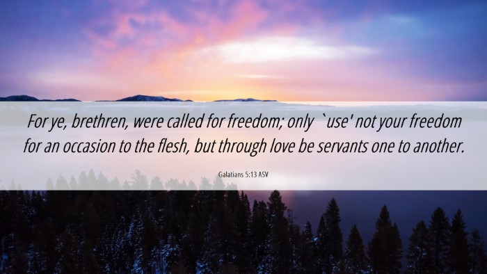 Picture 06 - Galatians 5:13 ASV Desktop Wallpaper - For ye, brethren, were called for freedom; only - Desktop Bible Verse Wallpaper
