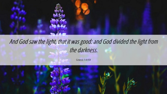 Picture 06 - Genesis 1:4 ASV Desktop Wallpaper - And God saw the light, that it was good: and God - Desktop Bible Verse Wallpaper