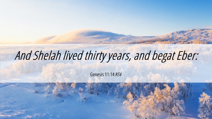 Picture 06 - Genesis 11:14 ASV Desktop Wallpaper - And Shelah lived thirty years, and begat - Desktop Bible Verse Wallpaper
