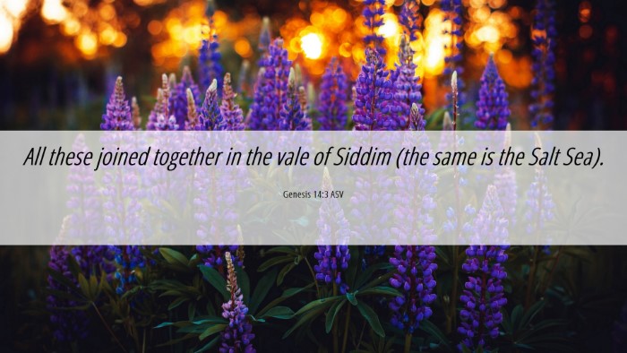 Picture 06 - Genesis 14:3 ASV Desktop Wallpaper - All these joined together in the vale of Siddim - Desktop Bible Verse Wallpaper