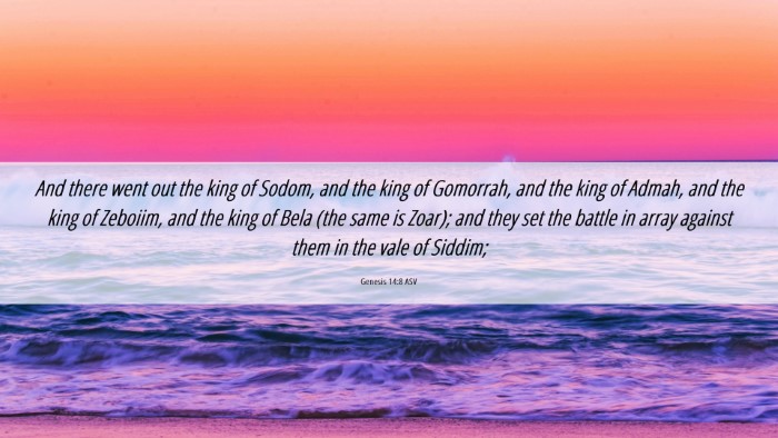Picture 06 - Genesis 14:8 ASV Desktop Wallpaper - And there went out the king of Sodom, and the - Desktop Bible Verse Wallpaper