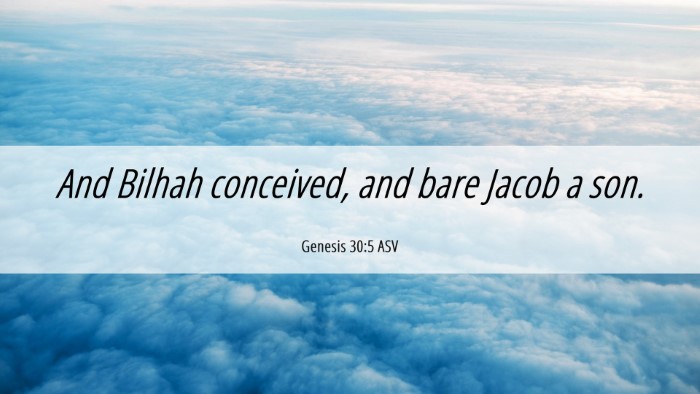 Picture 06 - Genesis 30:5 ASV Desktop Wallpaper - And Bilhah conceived, and bare Jacob a - Desktop Bible Verse Wallpaper