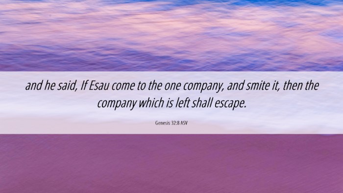 Picture 06 - Genesis 32:8 ASV Desktop Wallpaper - and he said, If Esau come to the one company, and - Desktop Bible Verse Wallpaper