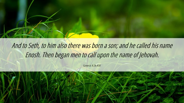 Picture 06 - Genesis 4:26 ASV Desktop Wallpaper - And to Seth, to him also there was born a son; - Desktop Bible Verse Wallpaper