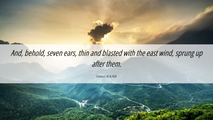 Picture 06 - Genesis 41:6 ASV Desktop Wallpaper - And, behold, seven ears, thin and blasted with - Desktop Bible Verse Wallpaper