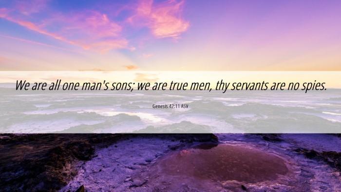 Picture 06 - Genesis 42:11 ASV Desktop Wallpaper - We are all one man's sons; we are true men, thy - Desktop Bible Verse Wallpaper