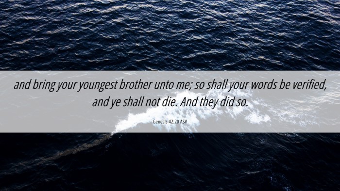 Picture 06 - Genesis 42:20 ASV Desktop Wallpaper - and bring your youngest brother unto me; so shall - Desktop Bible Verse Wallpaper