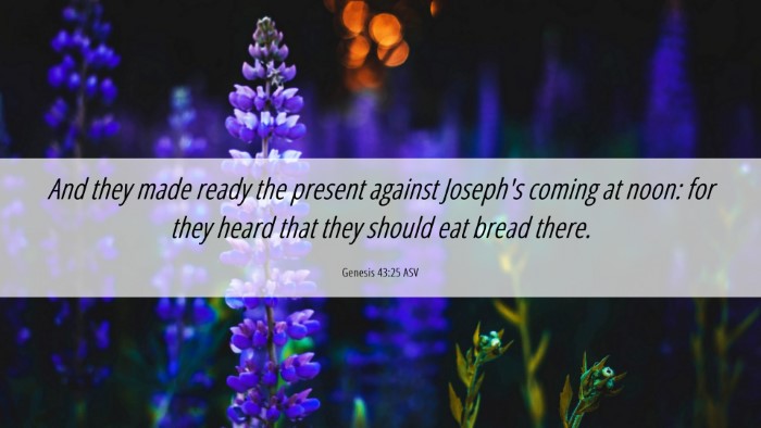 Picture 06 - Genesis 43:25 ASV Desktop Wallpaper - And they made ready the present against Joseph's - Desktop Bible Verse Wallpaper