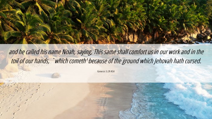 Picture 06 - Genesis 5:29 ASV Desktop Wallpaper - and he called his name Noah, saying, This same - Desktop Bible Verse Wallpaper