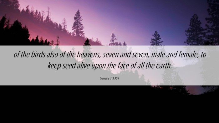 Picture 06 - Genesis 7:3 ASV Desktop Wallpaper - of the birds also of the heavens, seven and - Desktop Bible Verse Wallpaper