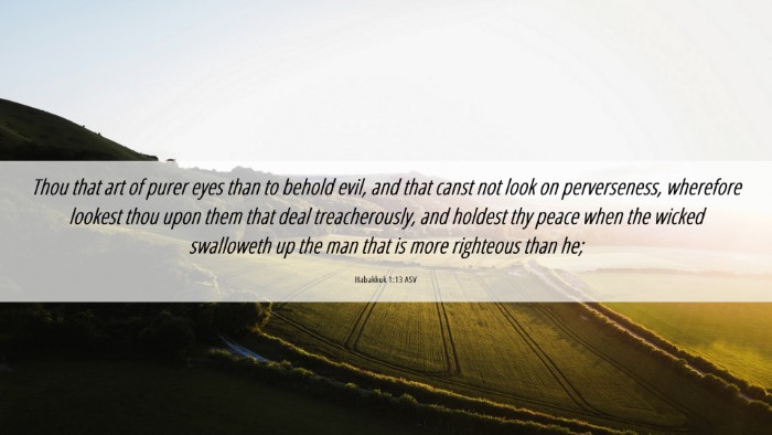 Picture 06 - Habakkuk 1:13 ASV Desktop Wallpaper - Thou that art of purer eyes than to behold evil, - Desktop Bible Verse Wallpaper
