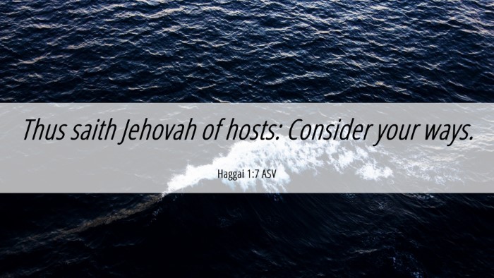 Picture 06 - Haggai 1:7 ASV Desktop Wallpaper - Thus saith Jehovah of hosts: Consider your - Desktop Bible Verse Wallpaper