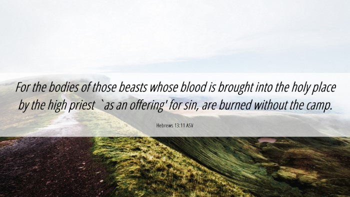 Picture 06 - Hebrews 13:11 ASV Desktop Wallpaper - For the bodies of those beasts whose blood is - Desktop Bible Verse Wallpaper