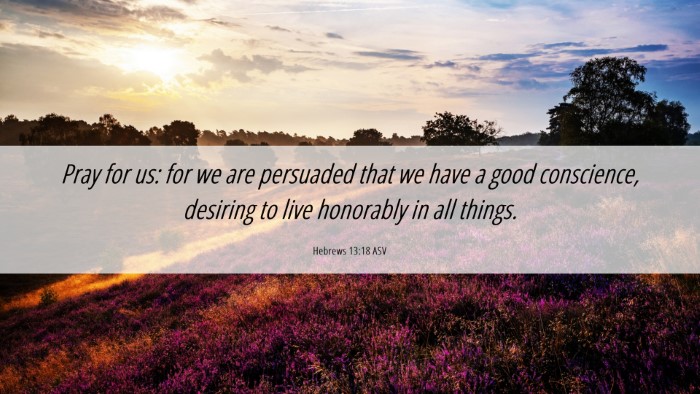 Picture 06 - Hebrews 13:18 ASV Desktop Wallpaper - Pray for us: for we are persuaded that we have a - Desktop Bible Verse Wallpaper