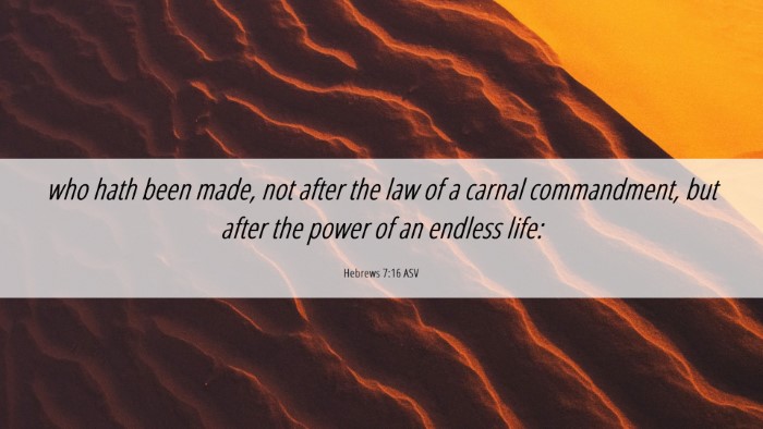 Picture 06 - Hebrews 7:16 ASV Desktop Wallpaper - who hath been made, not after the law of a carnal - Desktop Bible Verse Wallpaper