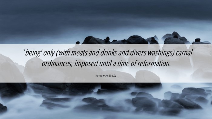 Picture 06 - Hebrews 9:10 ASV Desktop Wallpaper - `being' only (with meats and drinks and divers - Desktop Bible Verse Wallpaper