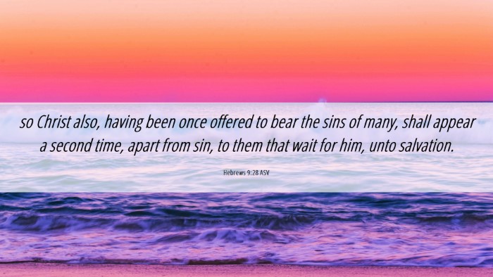 Picture 06 - Hebrews 9:28 ASV Desktop Wallpaper - so Christ also, having been once offered to bear - Desktop Bible Verse Wallpaper