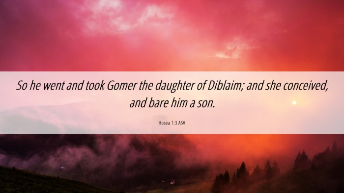 Picture 06 - Hosea 1:3 ASV Desktop Wallpaper - So he went and took Gomer the daughter of - Desktop Bible Verse Wallpaper