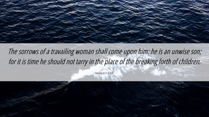 Picture 06 - Hosea 13:13 ASV Desktop Wallpaper - The sorrows of a travailing woman shall come upon - Desktop Bible Verse Wallpaper