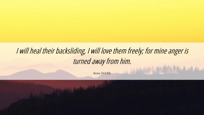 Picture 06 - Hosea 14:4 ASV Desktop Wallpaper - I will heal their backsliding, I will love them - Desktop Bible Verse Wallpaper